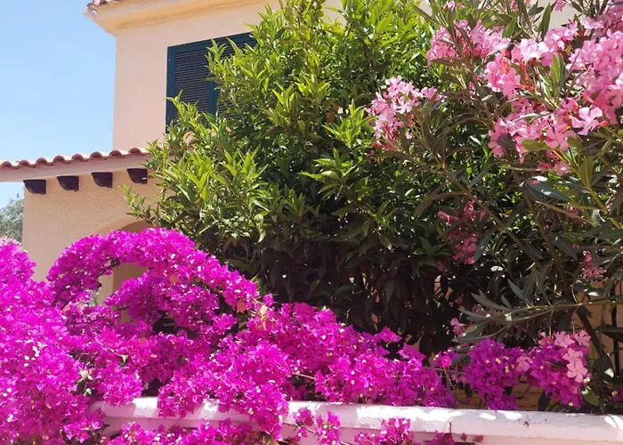 Dom wakacyjny Haus Am Torrevieja
